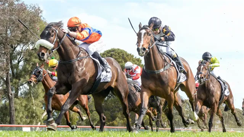 Warracknabeal-Emmets-Cup.png