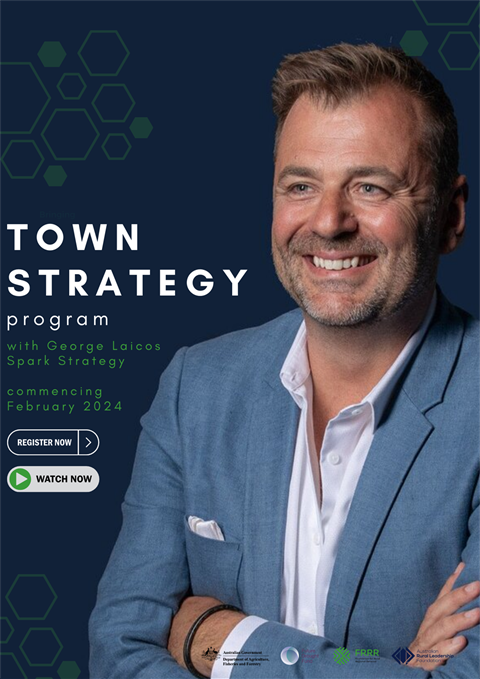 Town-Strategy-Program.pic