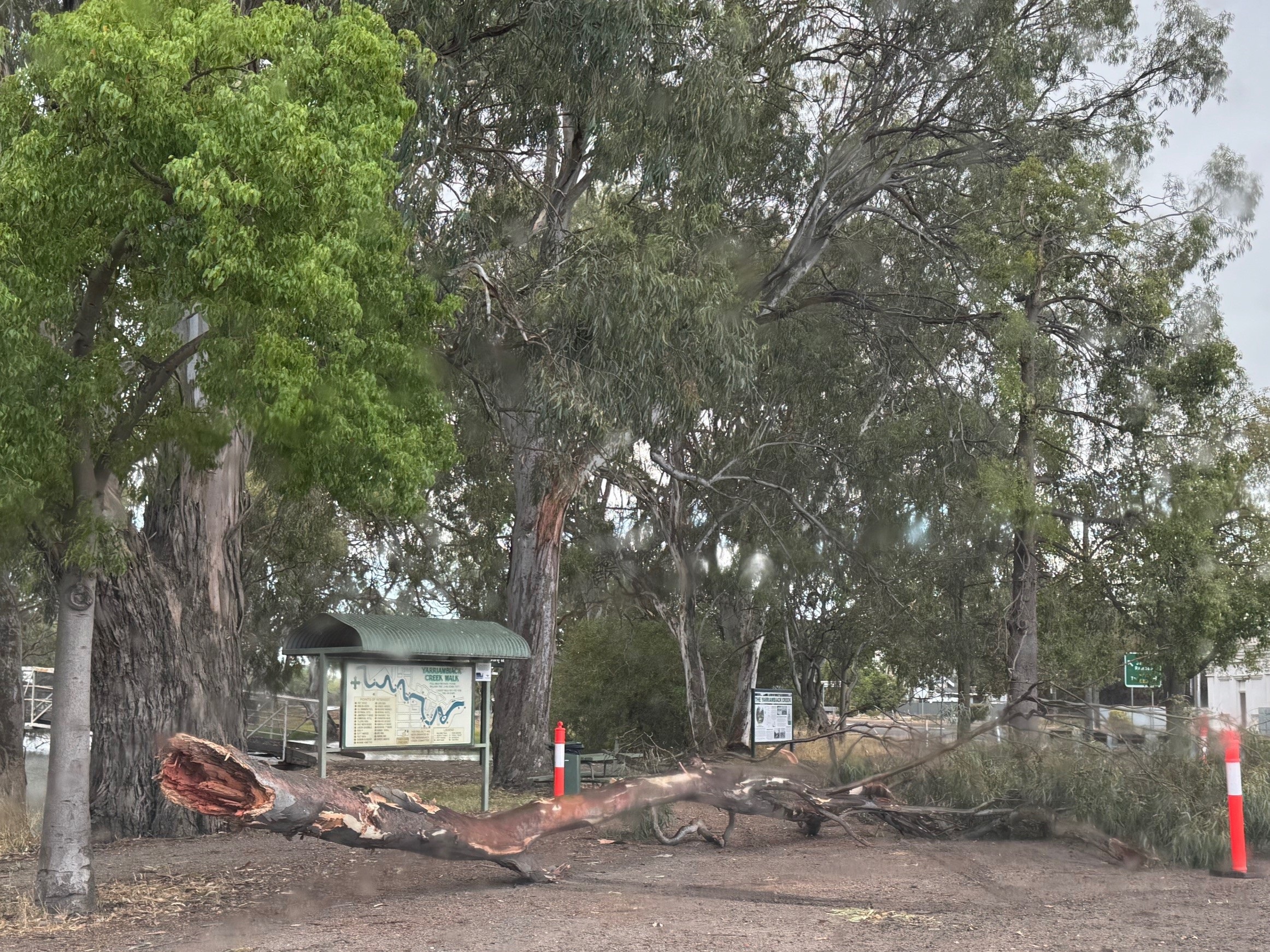 2026.01 - Branch Drop - Warracknabeal.jpg