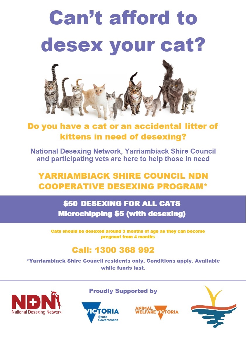 Desex Your Cat Yarriambiack Shire A3 poster_00_00 (1).jpg