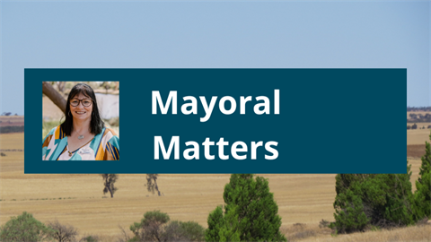 Mayoral Matters