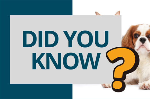 Did You Know - Shelter.png