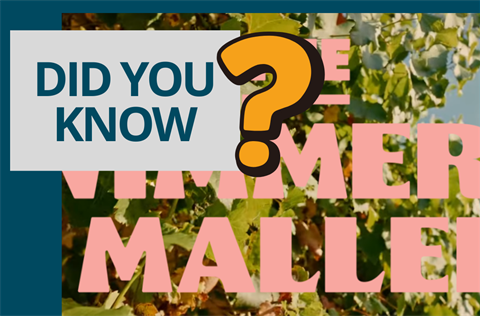 Did You Know - Tourism.png