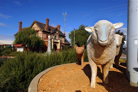 Post Office & Sheep.jpg