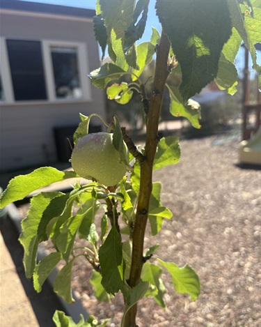 Beulah Outreach Preschool 2