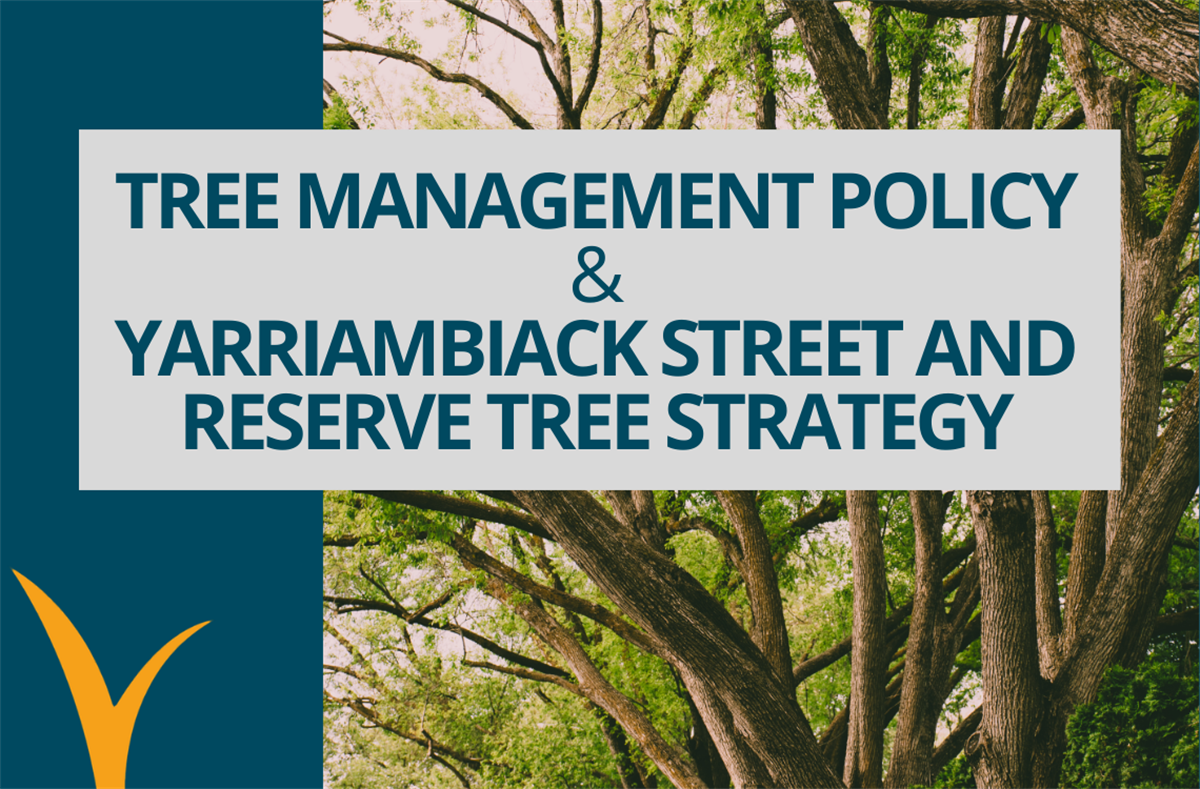 Media Release: Tree Management Policy & Strategy - Yarriambiack Shire ...