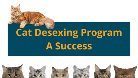 Cat Desexing.png