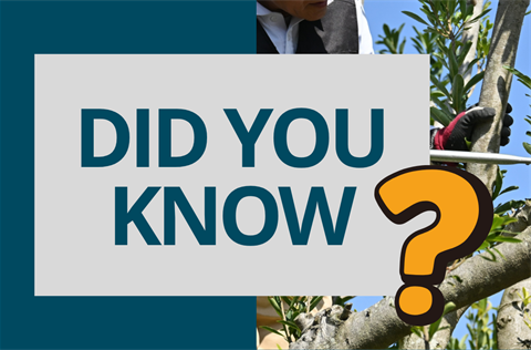 Did-You-Know-Canopy-Trees.png