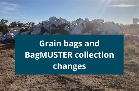 Grain bags.png