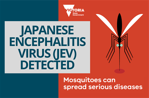 Japanese Encephalitis - tile.png