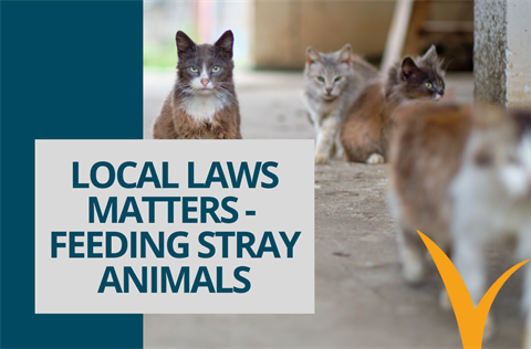 Local Laws Matters - Feeding Stray Animals.png